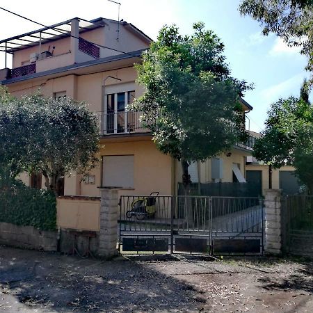 Il Merlo Pisa Bagian luar foto